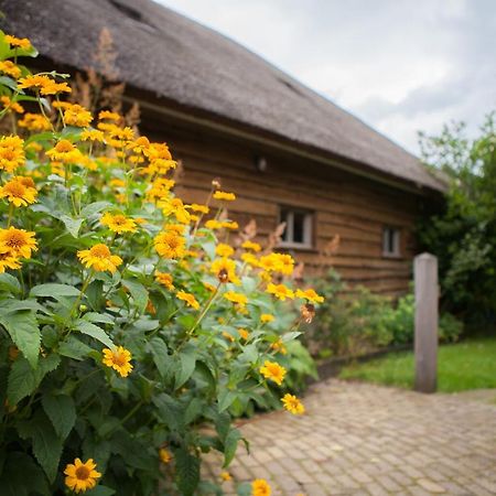 Aan De Aelder Esch Bed & Breakfast Aalden Exterior photo